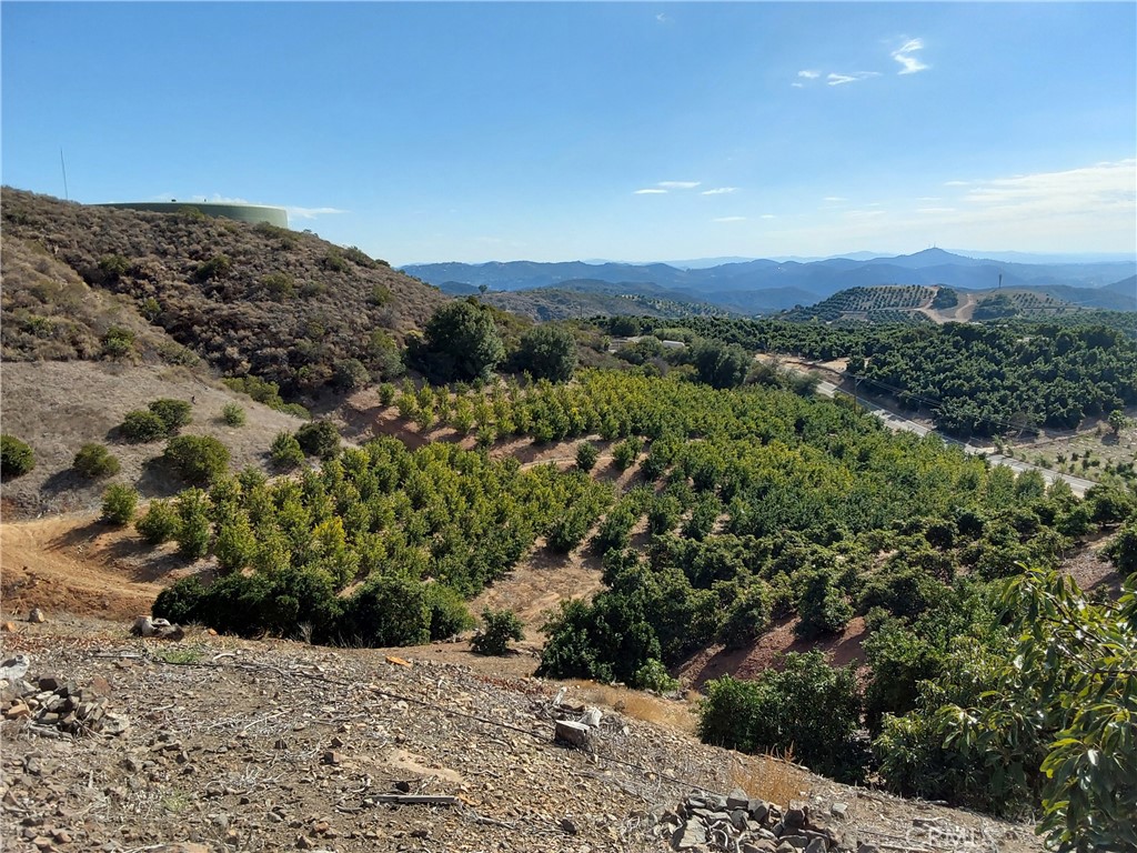 3 Via Vaquero Temecula, CA 92590 - Photo 12 of 38 a view of a dry field with mountains in the background