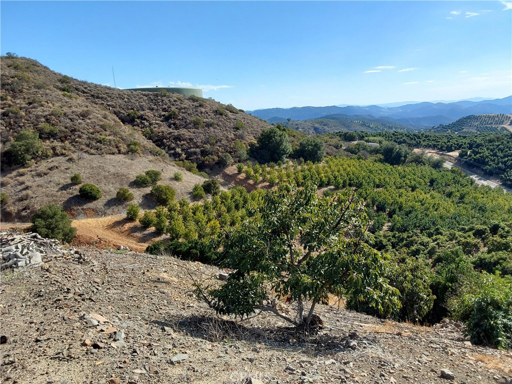 3 Via Vaquero Temecula, CA 92590 - Photo 14 of 38 a view of a forest with mountains in the background