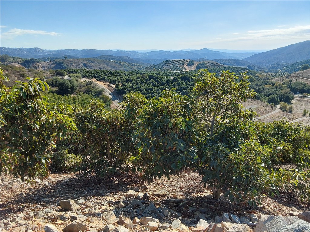 3 Via Vaquero Temecula, CA 92590 - Photo 17 of 38 a view of a forest with mountains in the background