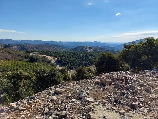 a view of a mountain with a forest