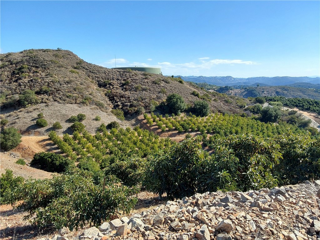 3 Via Vaquero Temecula, CA 92590 - Photo 27 of 38 a view of a dry yard with mountains in the background