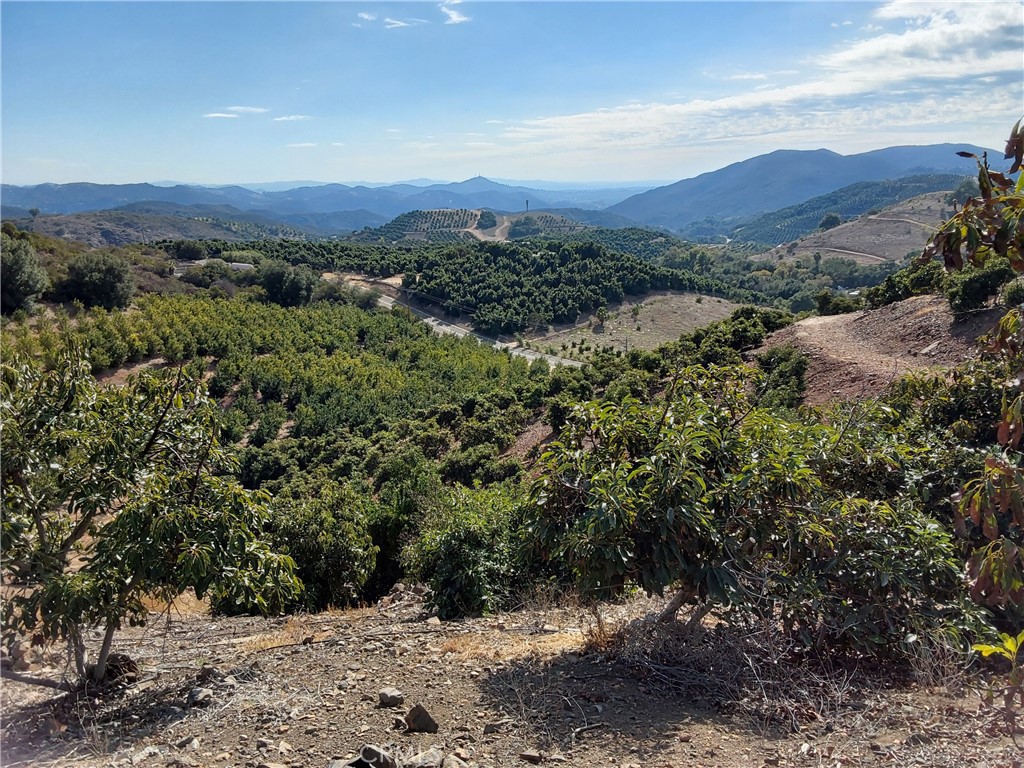 3 Via Vaquero Temecula, CA 92590 - Photo 3 of 38 a view of a forest with mountains in the background