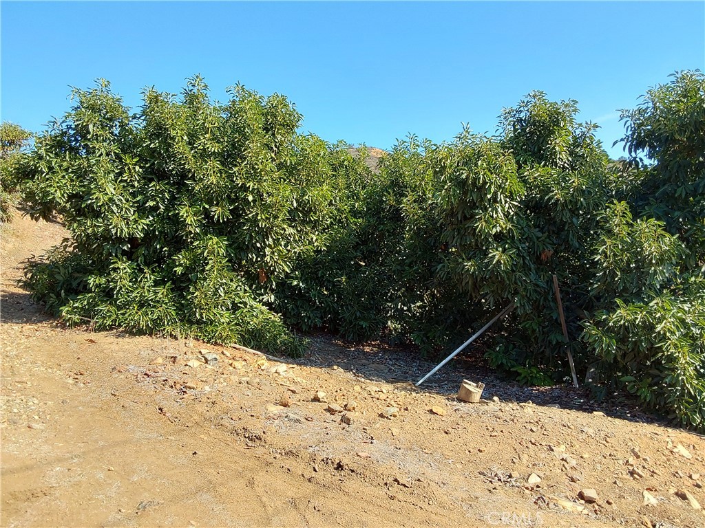 3 Via Vaquero Temecula, CA 92590 - Photo 31 of 38 a view of a snow on the road