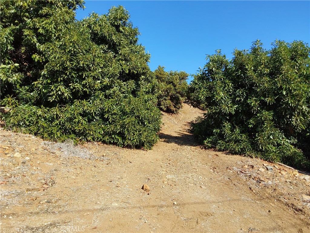 3 Via Vaquero Temecula, CA 92590 - Photo 32 of 38 a view of a yard covered in snow