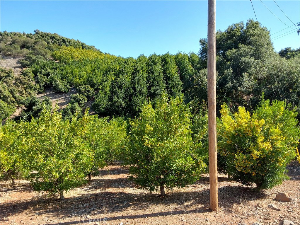 3 Via Vaquero Temecula, CA 92590 - Photo 36 of 38 a view of a garden