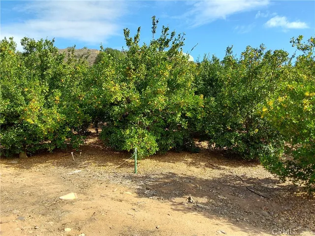 a view of backyard with green space
