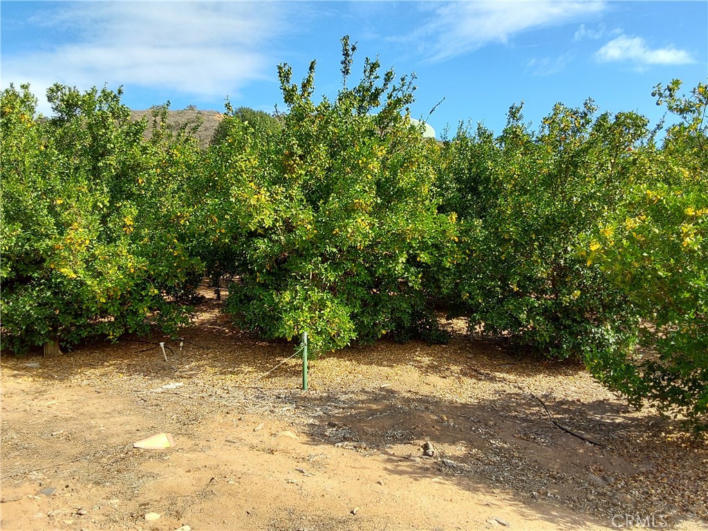 3 Via Vaquero Temecula, CA 92590 - Photo 10 of 38 a view of backyard with green space
