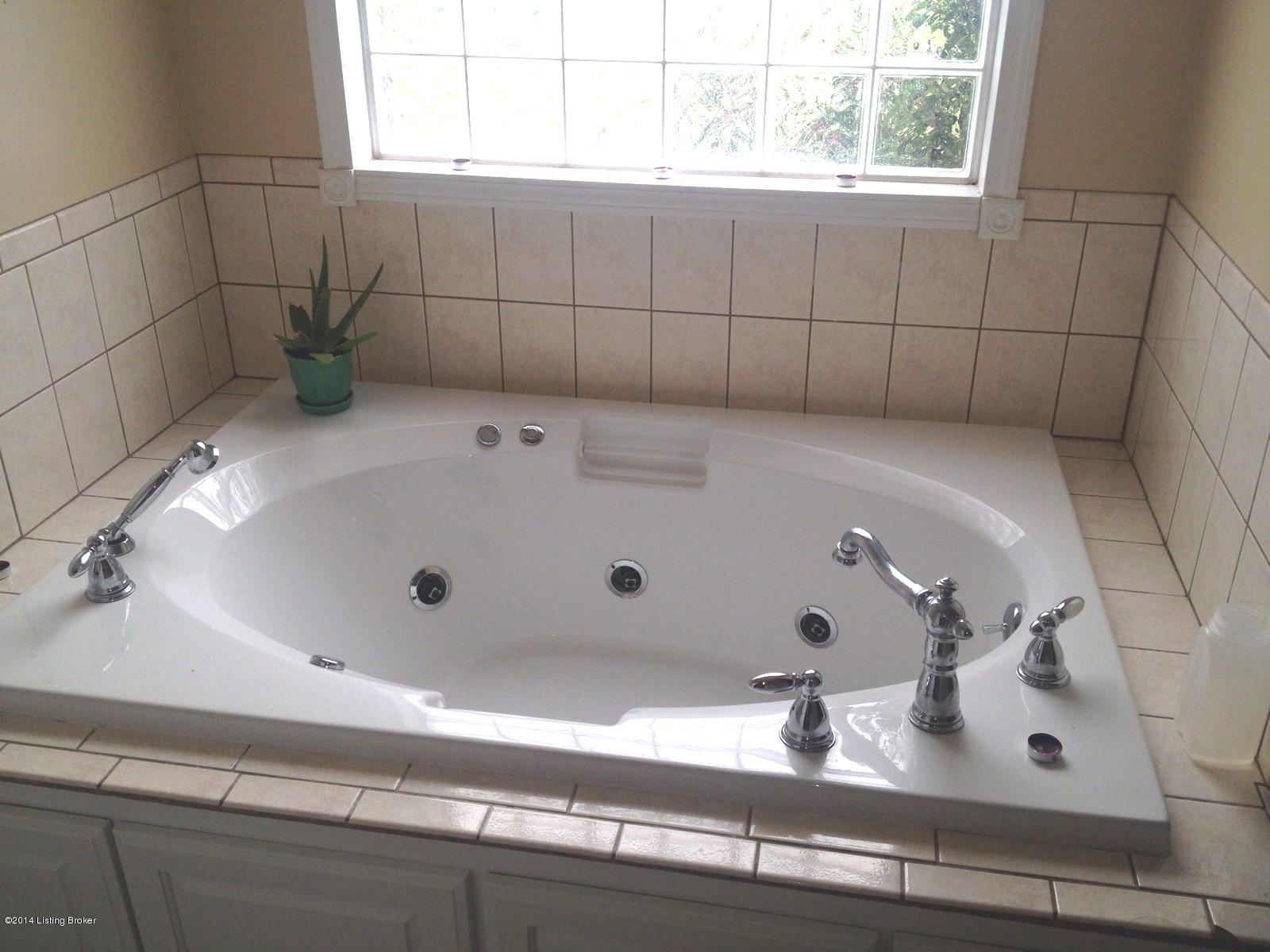 5583 Rabbit Flat Road Caneyville, KY 42721 - Photo 21 of 33 master bath whirlpool tub