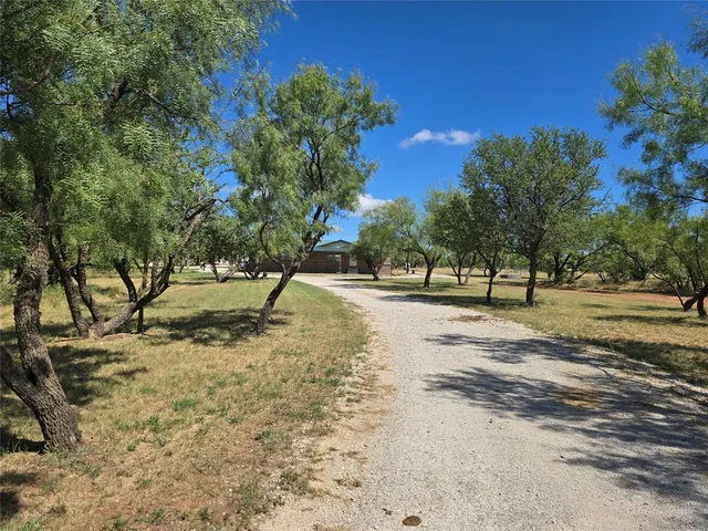 a view of outdoor space with trees