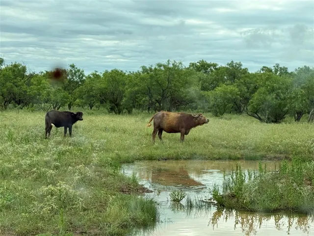 a view of a lake view with a garden