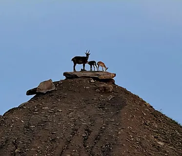 a bed sitting in a bedroom next to a wall