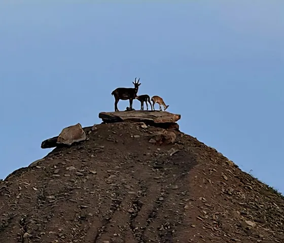 a bed sitting in a bedroom next to a wall