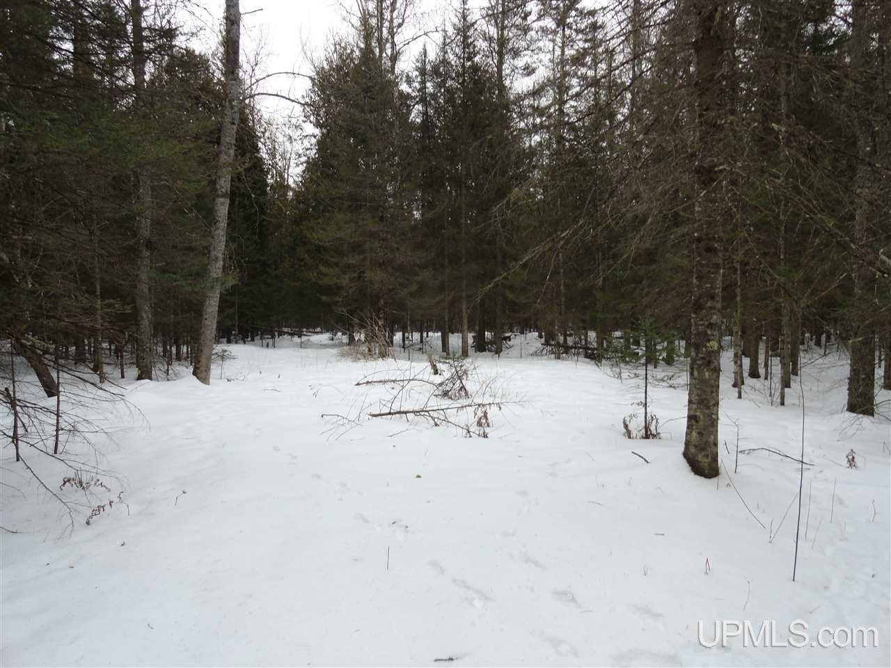 416 (23rd Road Gladstone, MI 49837 - Photo 26 of 36