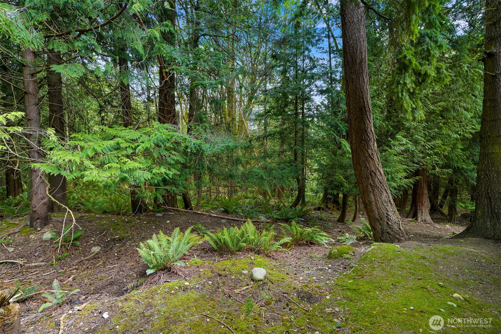 4117 Susan Court Bellingham, WA 98229 - Photo 35 of 40
