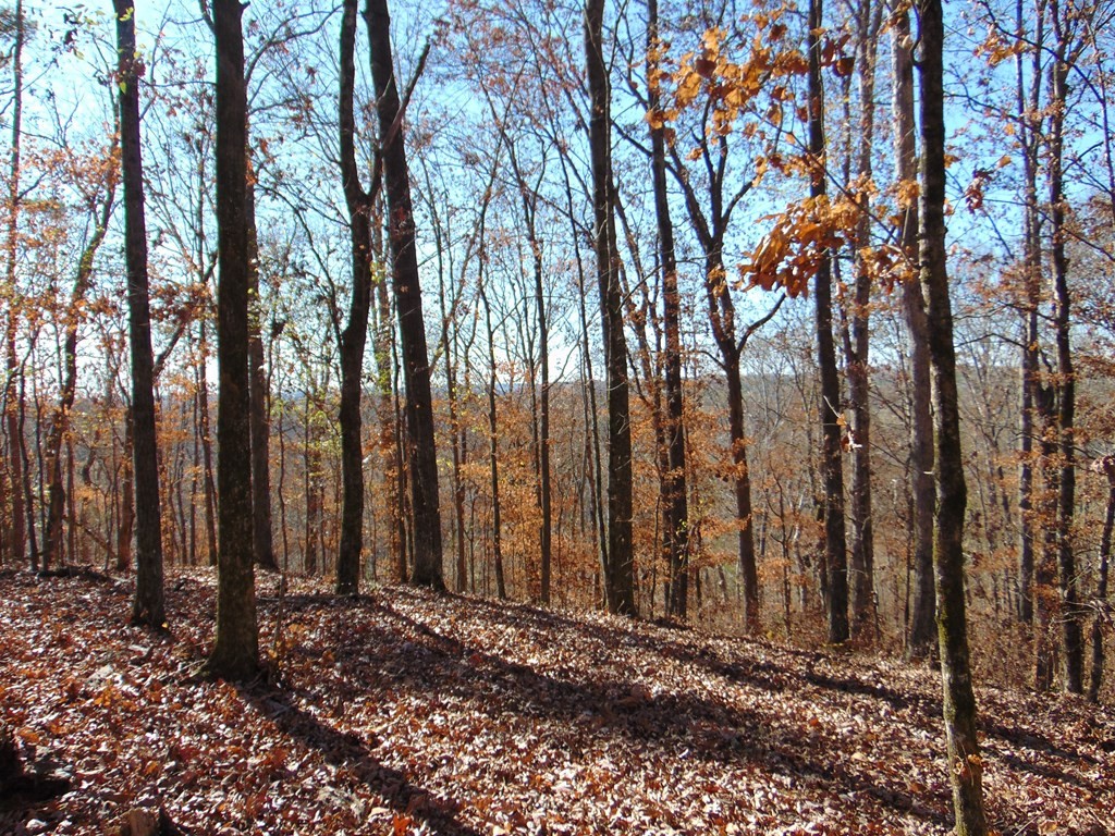 0 Athens Road Delano, TN 37325 - Photo 10 of 10