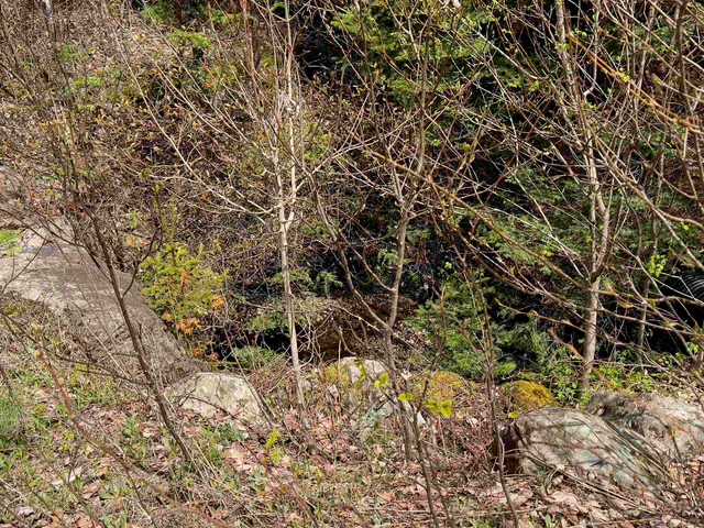 $122,000 | Chipper Lane, Milan, NH 03588