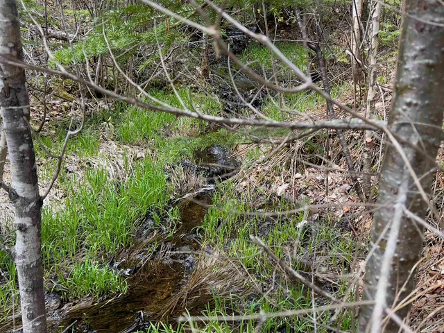 $122,000 | Chipper Lane, Milan, NH 03588