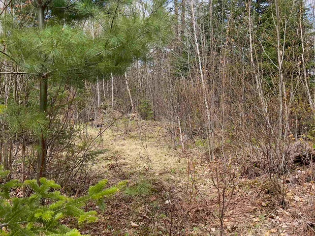 $122,000 | Chipper Lane, Milan, NH 03588