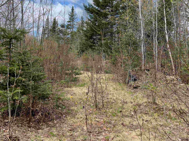 $122,000 | Chipper Lane, Milan, NH 03588