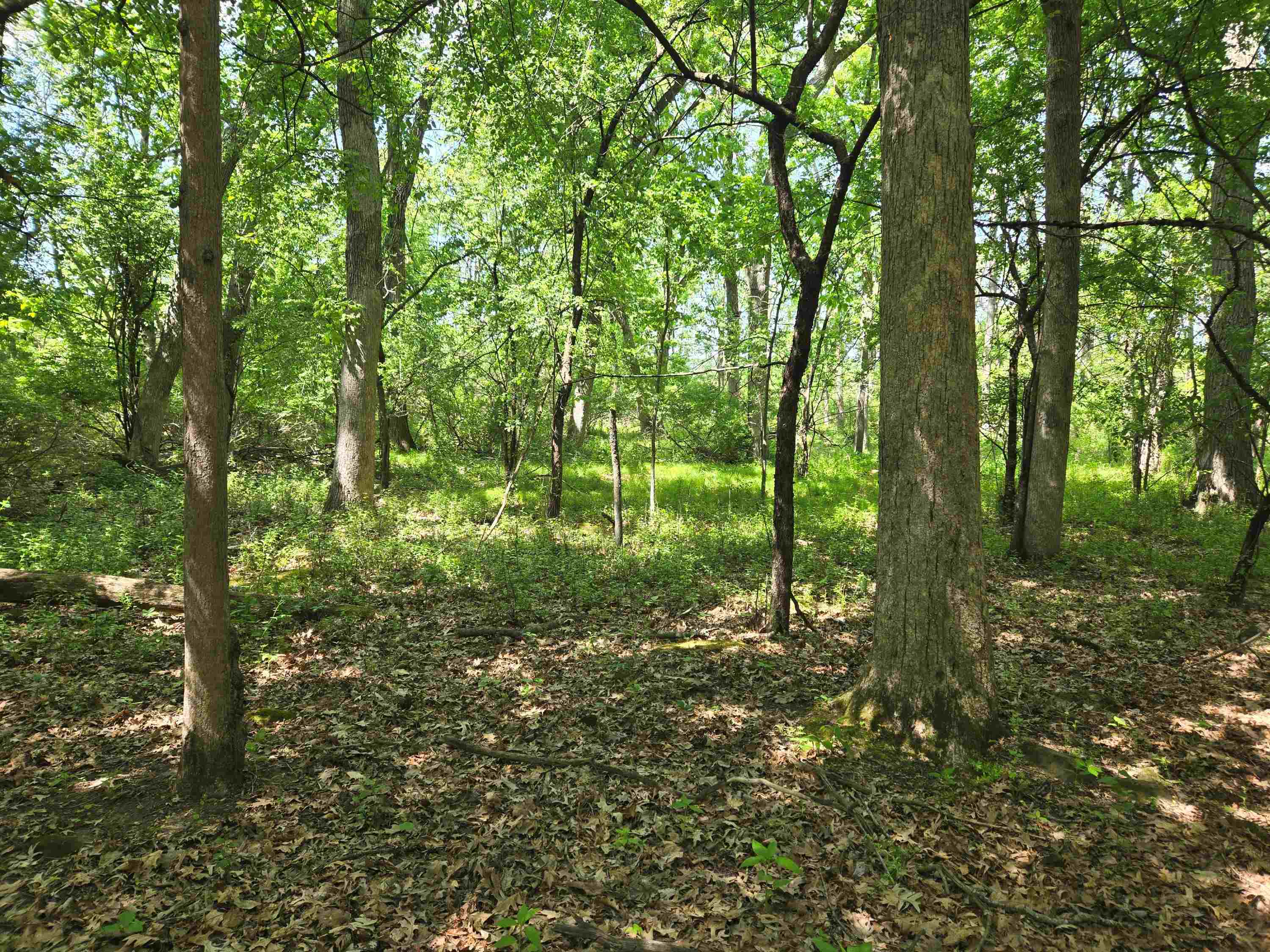 N6219 Sunnyside Road Green Lake, WI 54941 - Photo 52 of 58