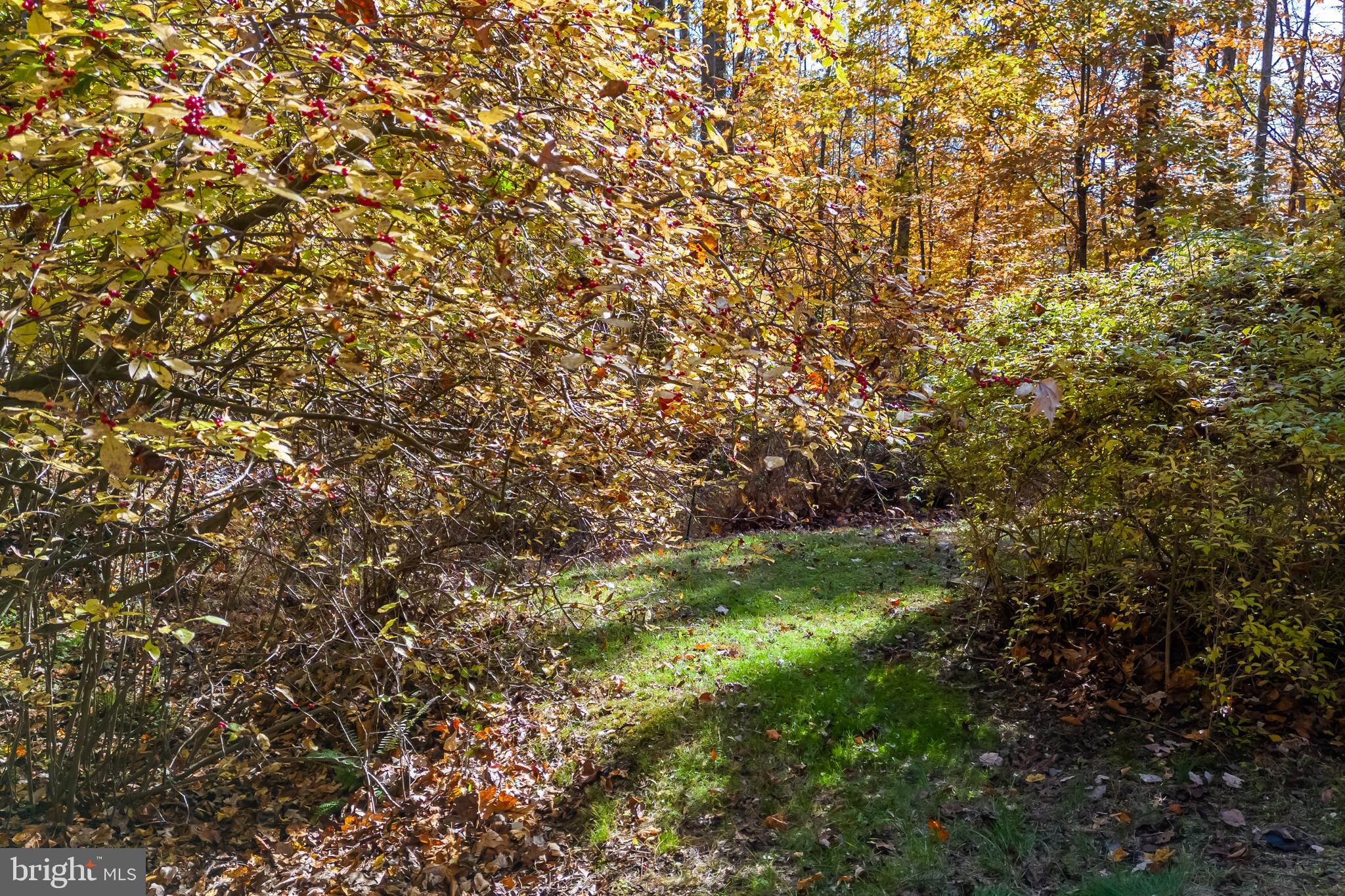 838 Kulp Road Perkiomenville, PA 18074 - Photo 47 of 55 Gallery Image 47