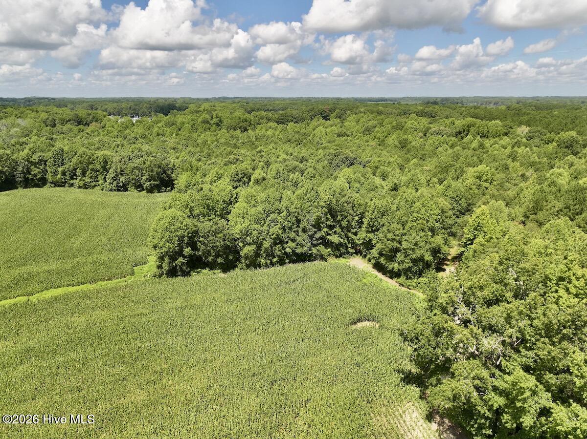 Lot 3 Mobley Road Lucama, NC 27851 - Photo 11 of 34 11