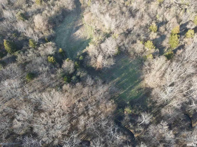 $420,000 | 0 County Highway, Unit COUNTY, Cisne, IL 62823