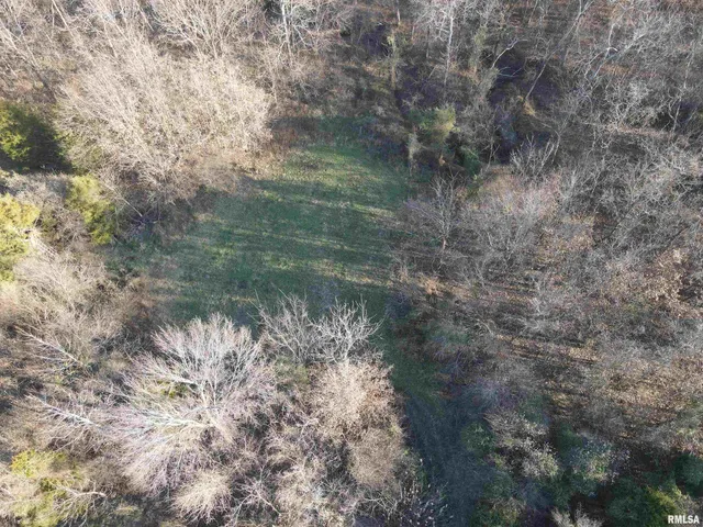 $420,000 | 0 County Highway, Unit COUNTY, Cisne, IL 62823