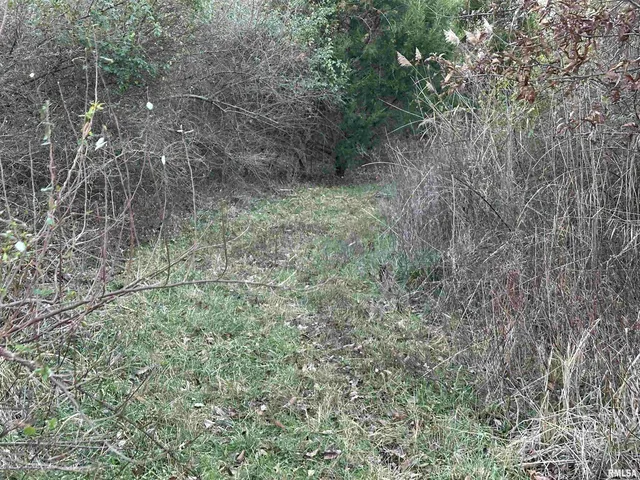 $420,000 | 0 County Highway, Unit COUNTY, Cisne, IL 62823