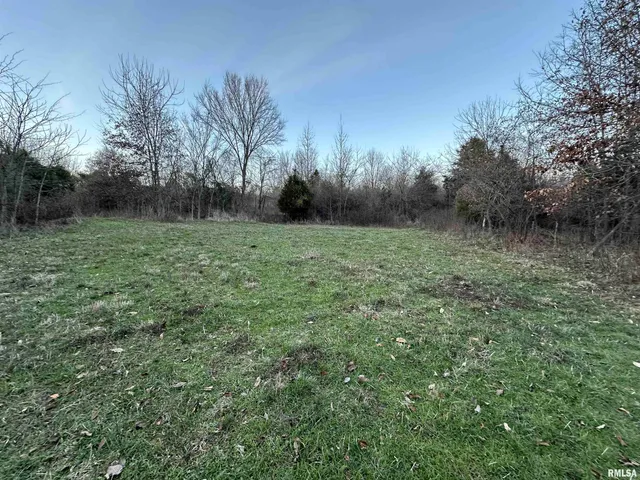 $420,000 | 0 County Highway, Unit COUNTY, Cisne, IL 62823