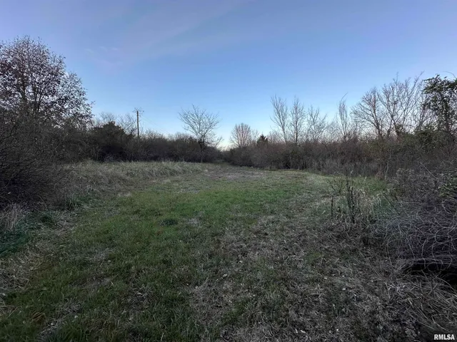 $420,000 | 0 County Highway, Unit COUNTY, Cisne, IL 62823