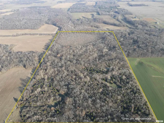 $420,000 | 0 County Highway, Unit COUNTY, Cisne, IL 62823