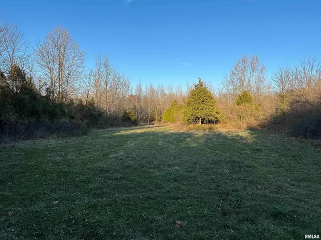 $420,000 | 0 County Highway, Unit COUNTY, Cisne, IL 62823