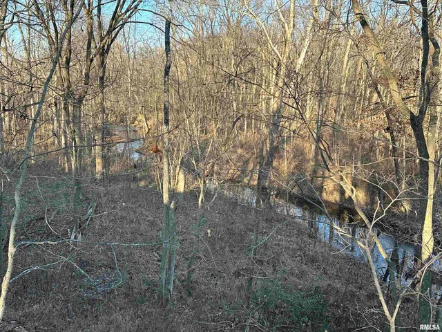 $420,000 | 0 County Highway, Unit COUNTY, Cisne, IL 62823