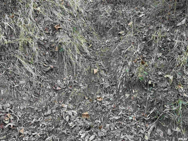 $420,000 | 0 County Highway, Unit COUNTY, Cisne, IL 62823