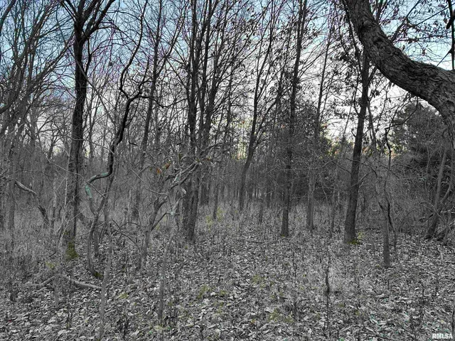 $420,000 | 0 County Highway, Unit COUNTY, Cisne, IL 62823