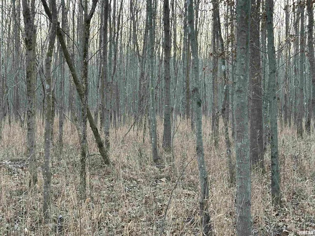 $420,000 | 0 County Highway, Unit COUNTY, Cisne, IL 62823