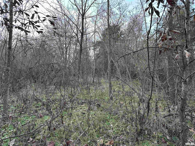 $420,000 | 0 County Highway, Unit COUNTY, Cisne, IL 62823