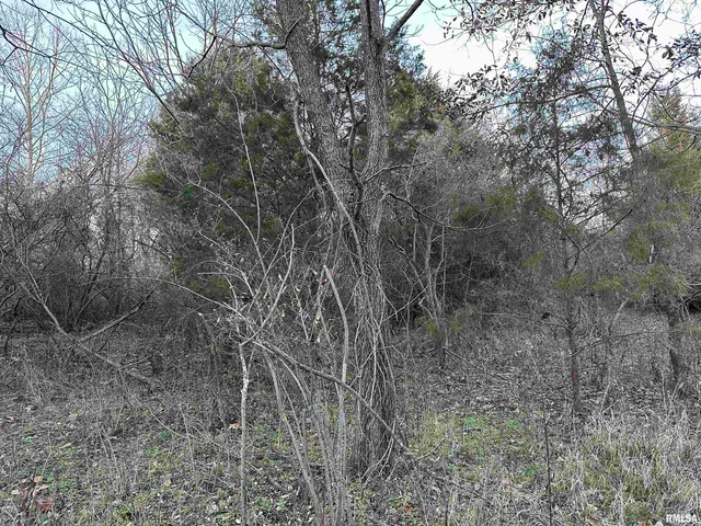 $420,000 | 0 County Highway, Unit COUNTY, Cisne, IL 62823