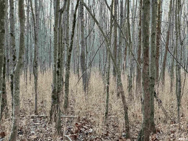 $420,000 | 0 County Highway, Unit COUNTY, Cisne, IL 62823