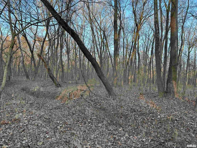 $420,000 | 0 County Highway, Unit COUNTY, Cisne, IL 62823