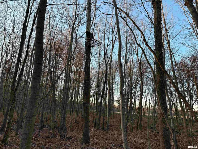 $420,000 | 0 County Highway, Unit COUNTY, Cisne, IL 62823