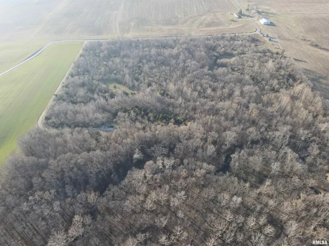 $420,000 | 0 County Highway, Unit COUNTY, Cisne, IL 62823