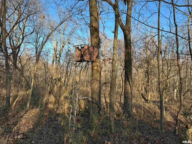 $420,000 | 0 County Highway, Unit COUNTY, Cisne, IL 62823