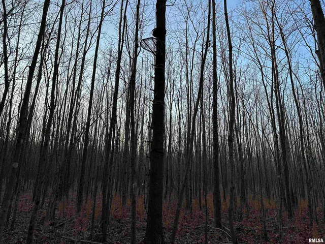 $420,000 | 0 County Highway, Unit COUNTY, Cisne, IL 62823