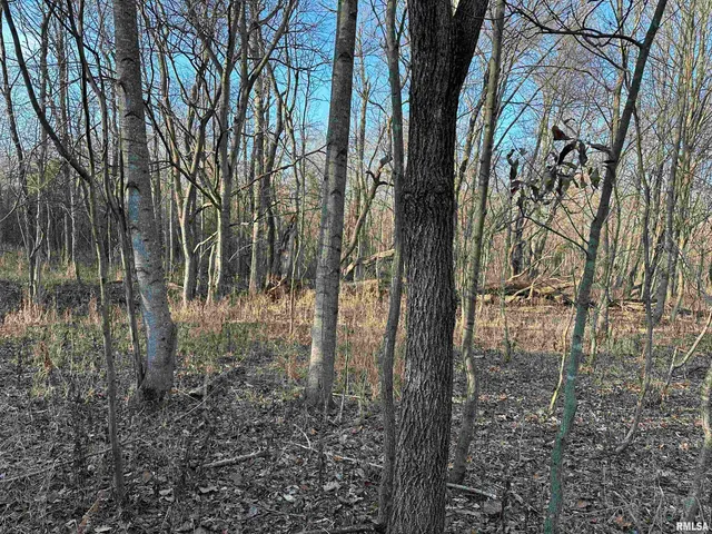 $420,000 | 0 County Highway, Unit COUNTY, Cisne, IL 62823