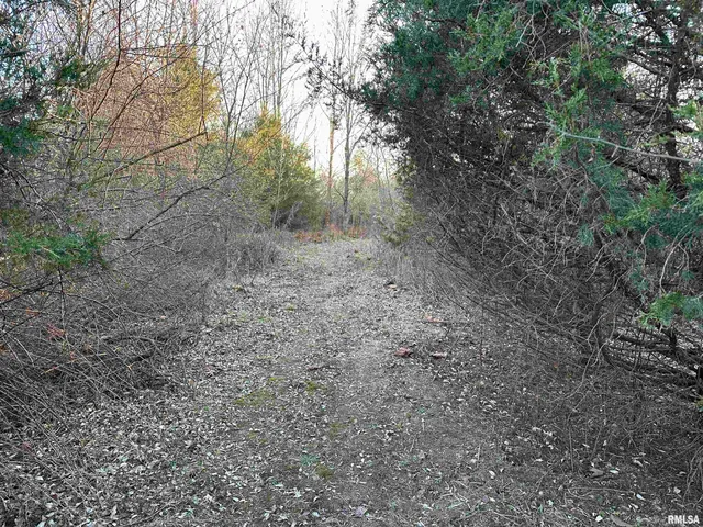 $420,000 | 0 County Highway, Unit COUNTY, Cisne, IL 62823