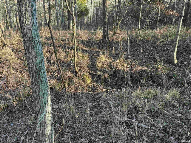 $420,000 | 0 County Highway, Unit COUNTY, Cisne, IL 62823