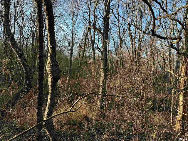 $420,000 | 0 County Highway, Unit COUNTY, Cisne, IL 62823