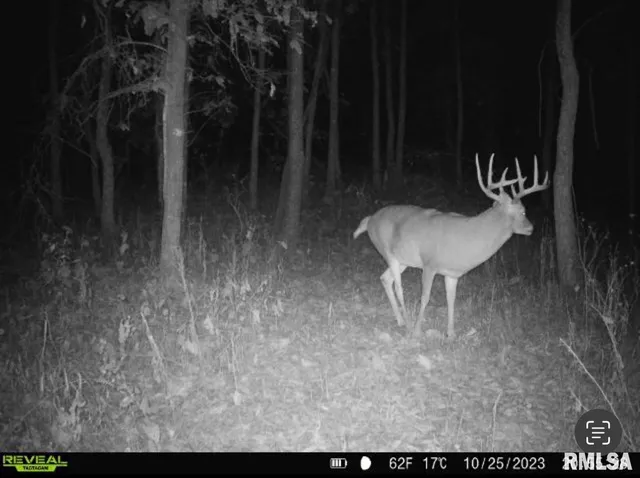 $420,000 | 0 County Highway, Unit COUNTY, Cisne, IL 62823